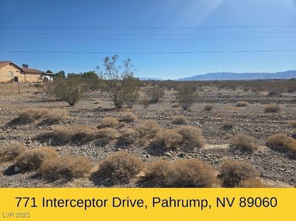 Undeveloped Land for sale in Nye County, Nevada