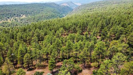 Undeveloped Land for sale in Archuleta County, Colorado