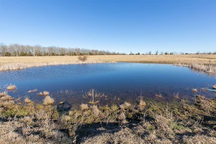 Undeveloped Land for sale in Red River County, Texas