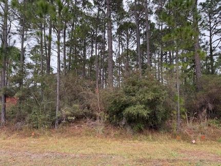 Property for sale in Santa Rosa County, Florida