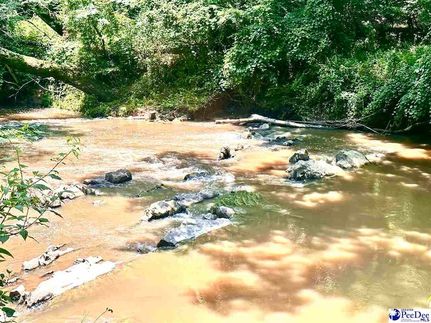 Property for sale in Chesterfield County, South Carolina