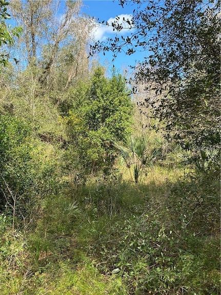 Property for sale in Volusia County, Florida