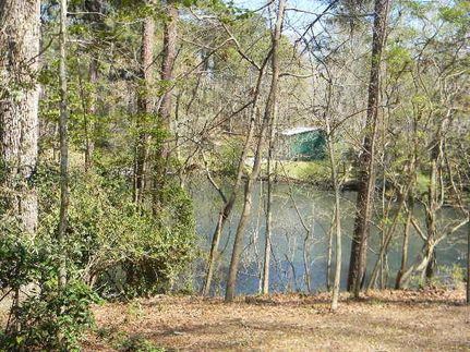 Property for sale in Orangeburg County, South Carolina