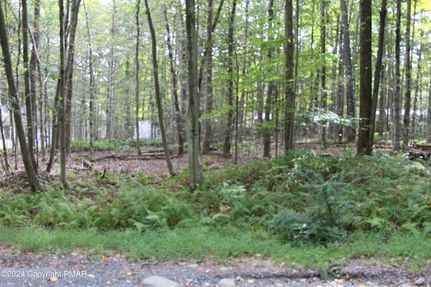 Undeveloped Land for sale in Monroe County, Pennsylvania