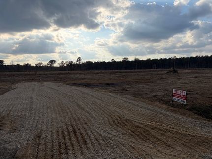 Timberland Property for sale in Morehouse Parish, Louisiana