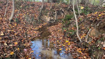 Property for sale in Elbert County, Georgia