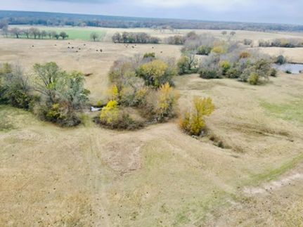 Undeveloped Land for sale in Hopkins County, Texas