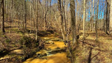 Lakefront Property for sale in Elbert County, Georgia