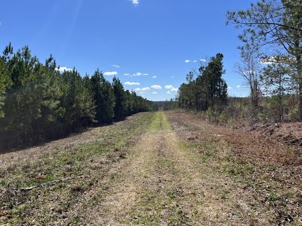 Hunting Land for sale in Elbert County, Georgia