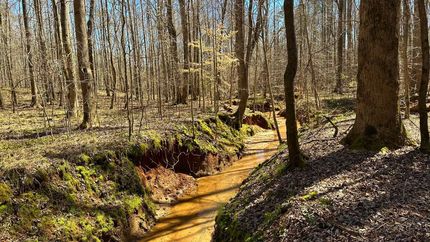 Lakefront Property for sale in Elbert County, Georgia
