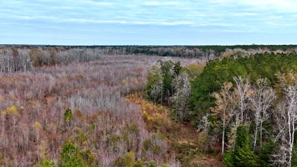 Farm Property for sale in Berkeley County, South Carolina