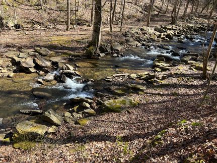 Property for sale in Gilmer County, Georgia