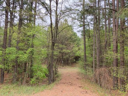 Timberland Property for sale in Bowie County, Texas