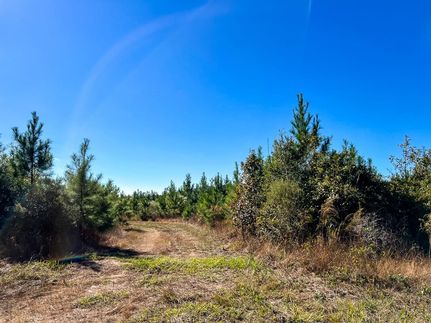 Property for sale in Hardin County, Texas