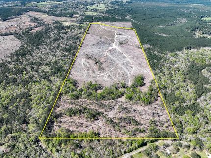 Hunting Land for sale in Jasper County, Texas