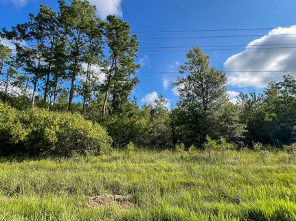 Hunting Land for sale in Jasper County, Texas