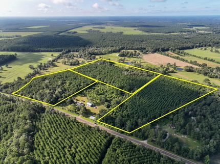 Timberland Property for sale in Jasper County, Texas