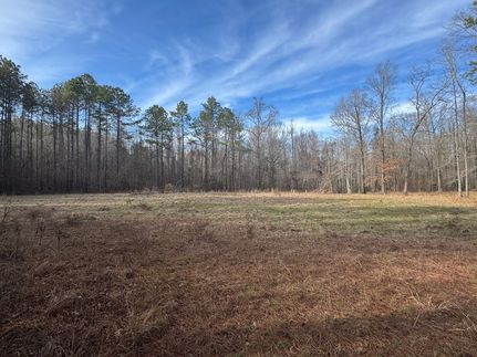 Hunting Land for sale in Hale County, Alabama