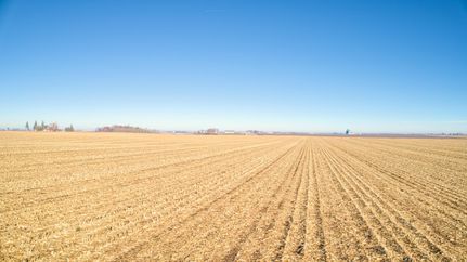 Undeveloped Land for sale in Webster County, Iowa