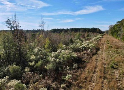 Property for sale in White County, Arkansas