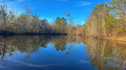 Property for sale in Wilkinson County, Georgia