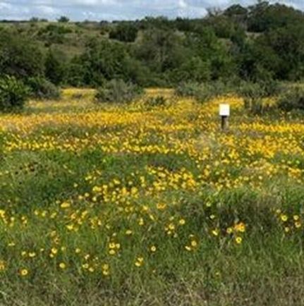 Property for sale in Blanco County, Texas