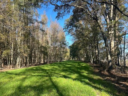 Property for sale in Issaquena County, Mississippi