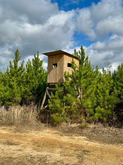 Property for sale in Jasper County, Mississippi