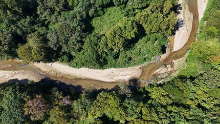 Property for sale in Holmes County, Mississippi