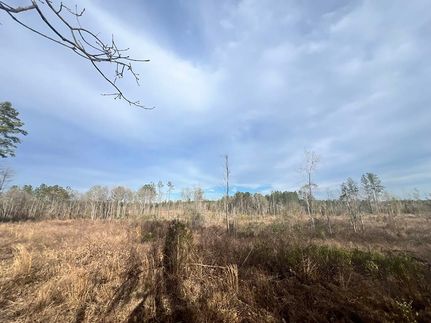 Property for sale in Wayne County, Mississippi