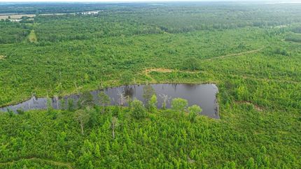 Timberland Property for sale in Chickasaw County, Mississippi