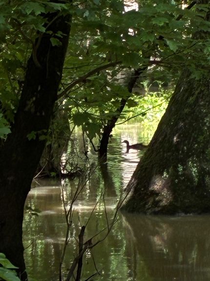 Property for sale in Woodruff County, Arkansas