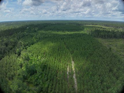 Property for sale in Emanuel County, Georgia