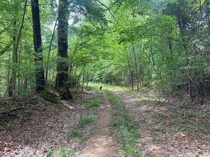 Property for sale in Yazoo County, Mississippi