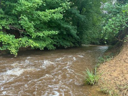 Undeveloped Land for sale in Monroe County, Georgia
