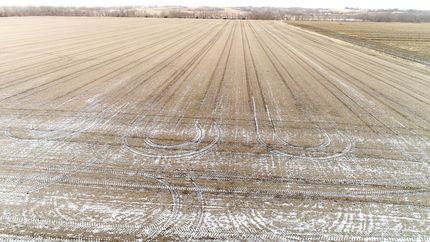 Undeveloped Land for sale in Taylor County, Iowa