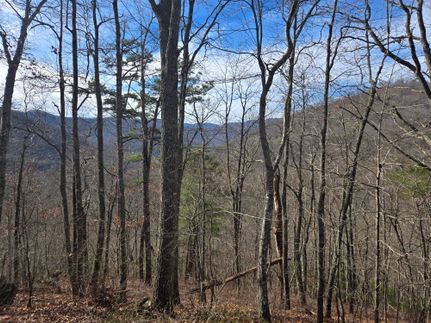 Property for sale in Jackson County, North Carolina