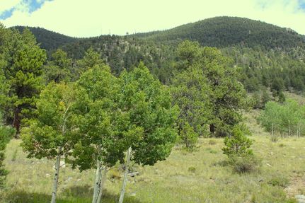 Property for sale in Park County, Colorado