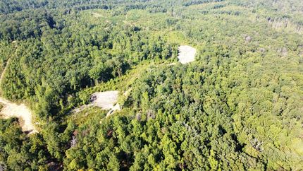 Hunting Land for sale in Winston County, Alabama