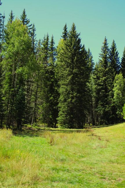 Horse Property for sale in Teller County, Colorado