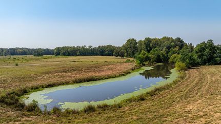 Residential Property for sale in Elmore County, Alabama