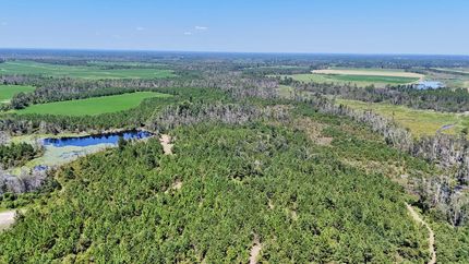 Property for sale in Jeff Davis County, Georgia