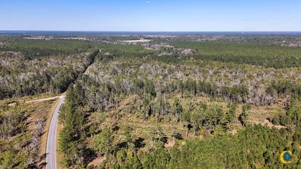 Property for sale in Bacon County, Georgia