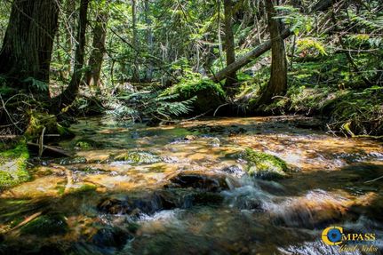 Hunting Land for sale in Mineral County, Montana