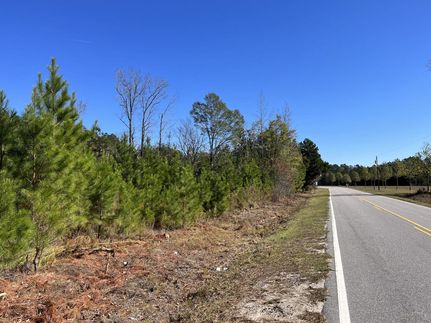 Hunting Land for sale in Robeson County, North Carolina