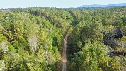 Timberland Property for sale in Gordon County, Georgia