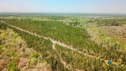 Property for sale in Kershaw County, South Carolina