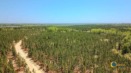 Property for sale in Kershaw County, South Carolina