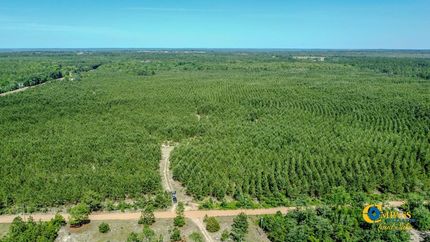 Property for sale in Marion County, Georgia