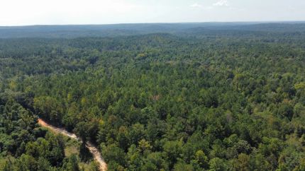 Property for sale in Tallapoosa County, Alabama